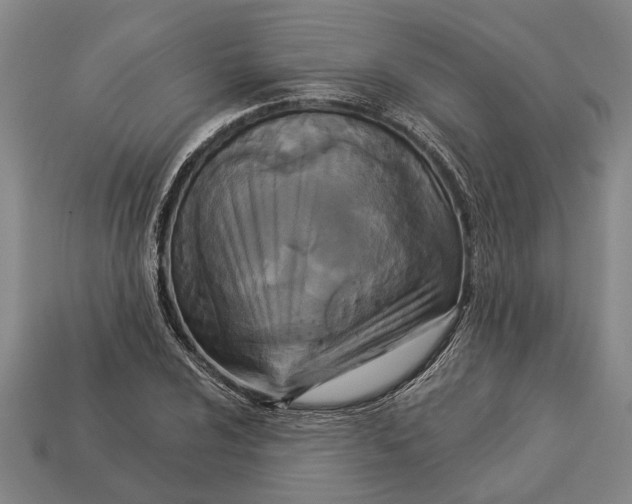 X0000112961024200909171253