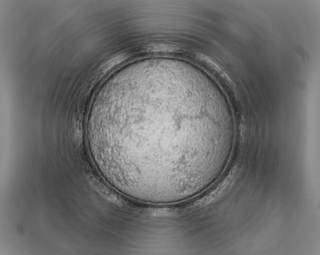 X0000112961025200909171253