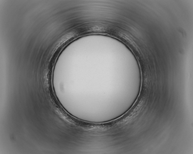 X0000112961026200909171253