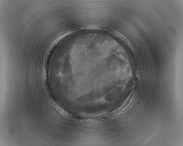 X0000112961027200909171253