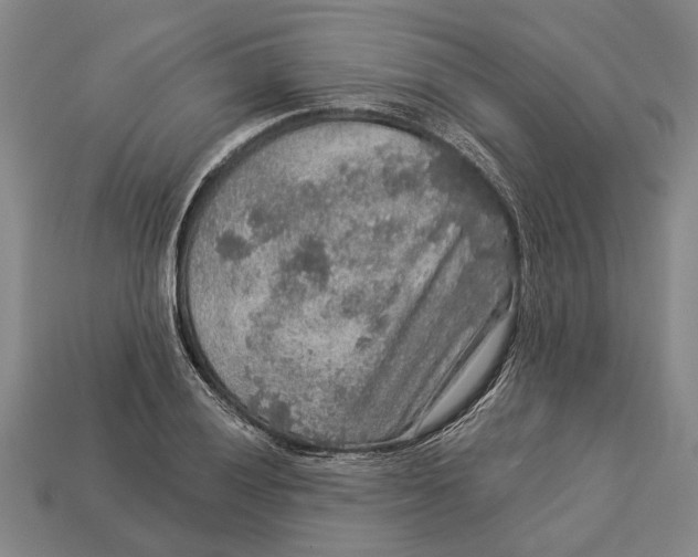 X0000112961028200909171253