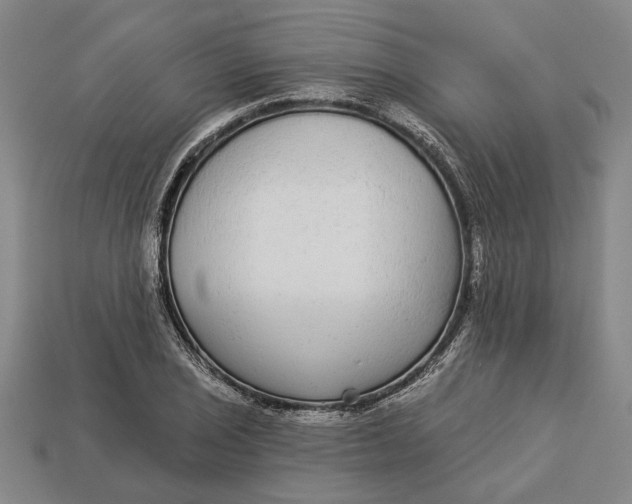 X0000112961029200909171253