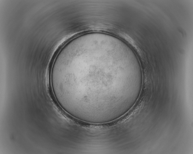 X0000112961032200909171253