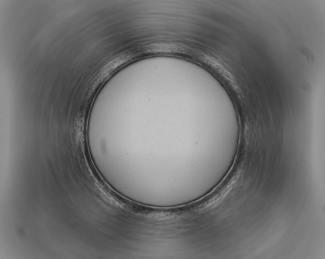 X0000112961033200909171253