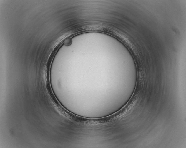 X0000112961034200909171253