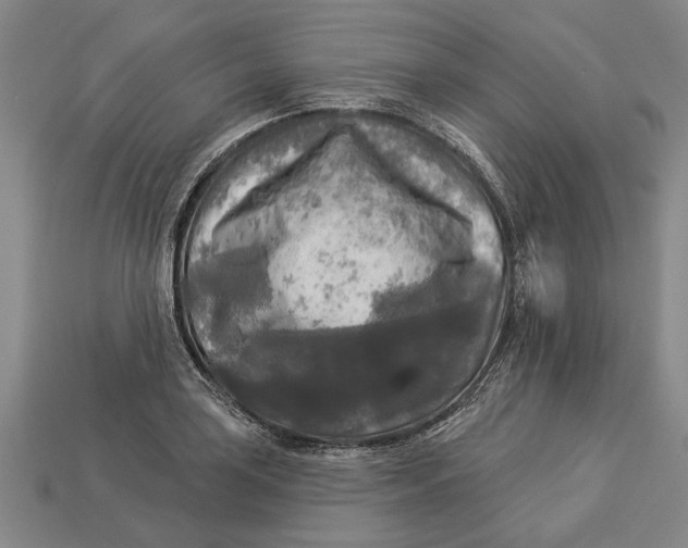 X0000112961035200909171253