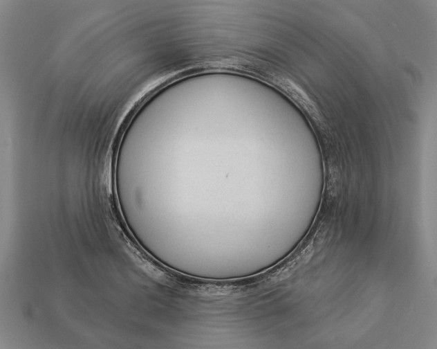 X0000112961036200909171253