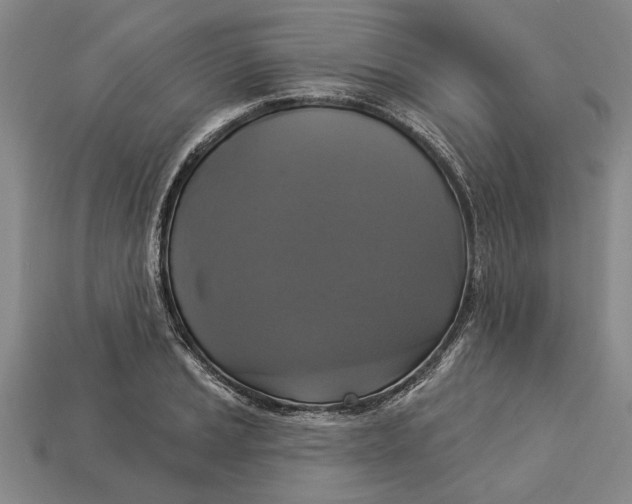 X0000112961037200909171253