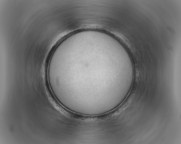 X0000112961038200909171253