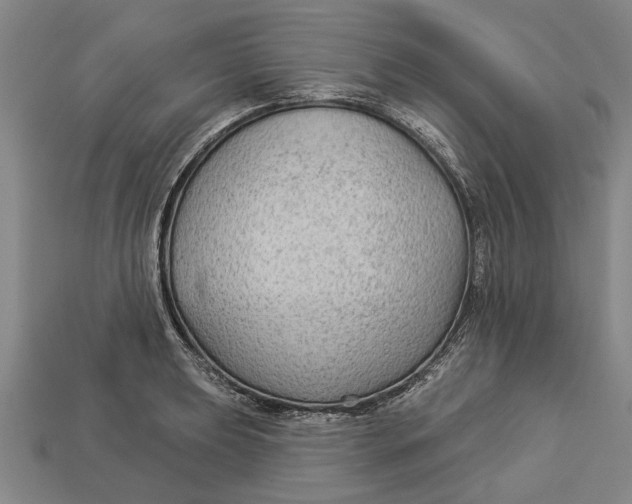 X0000112961039200909171253