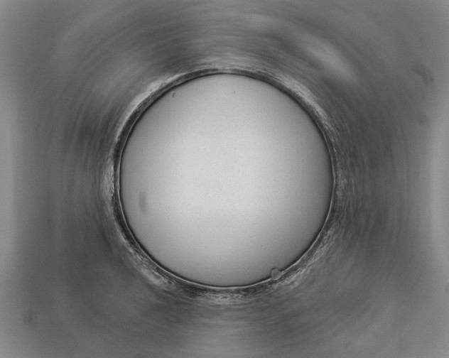 X0000112961040200909171253