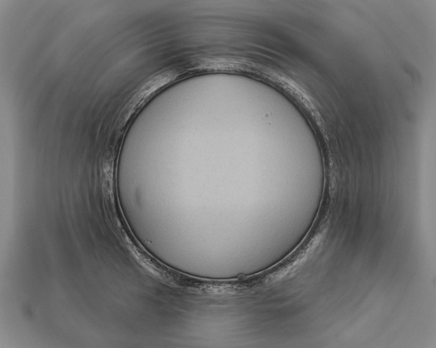 X0000112961041200909171253