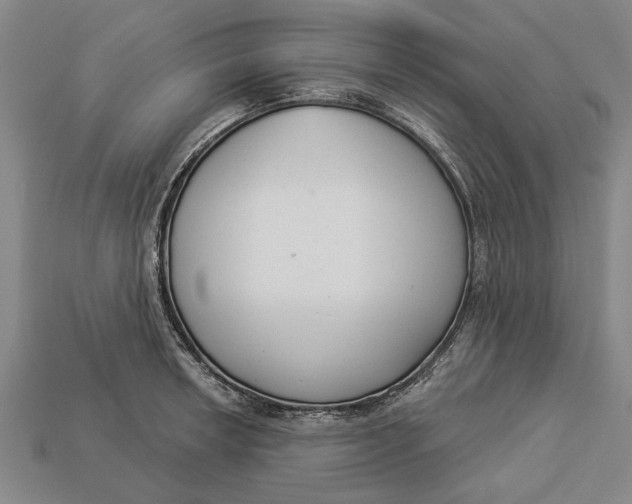 X0000112961042200909171253