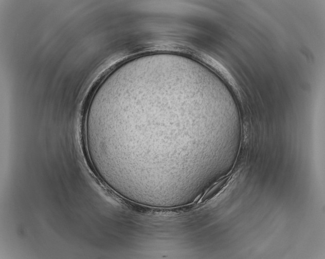 X0000112961043200909171253