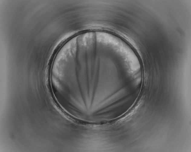 X0000112961045200909171253