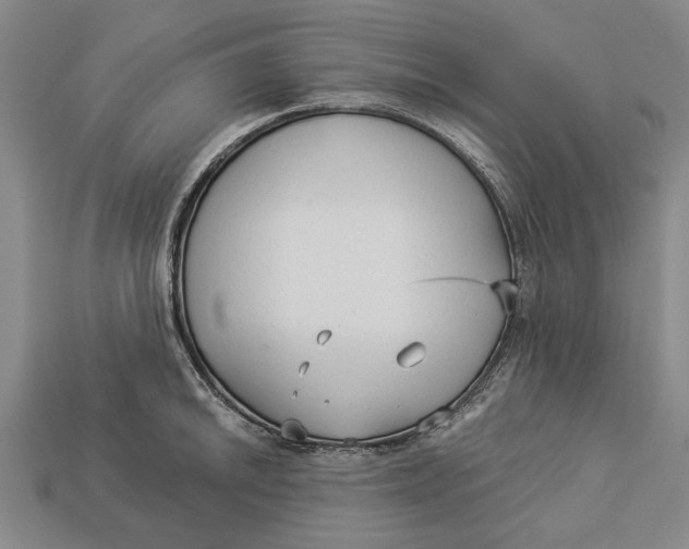 X0000112961046200909171253