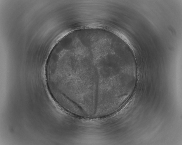 X0000112961047200909171253