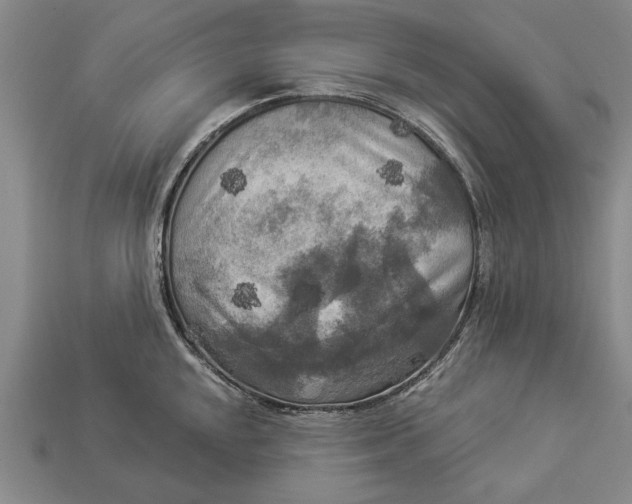 X0000112961048200909171254