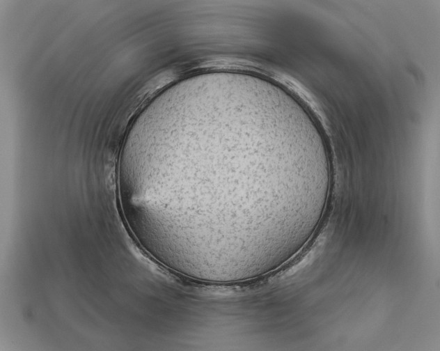 X0000112961049200909171254