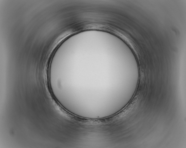 X0000112961050200909171254