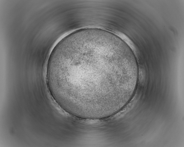 X0000112961052200909171254