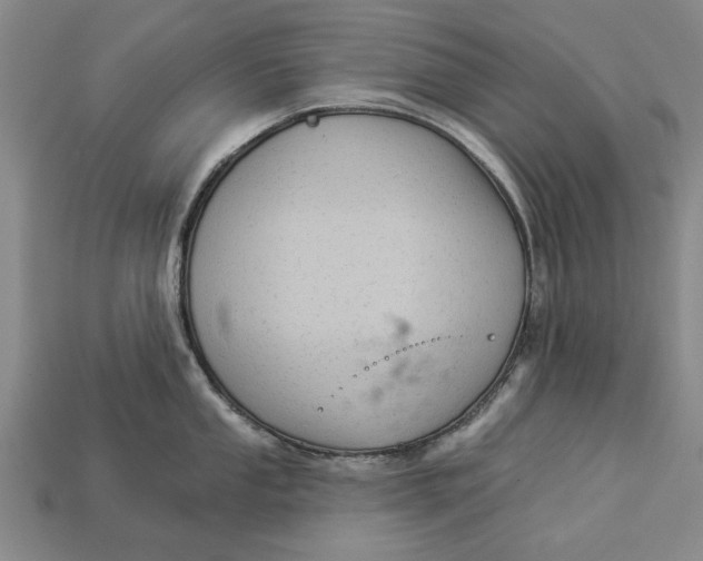 X0000112961053200909171254