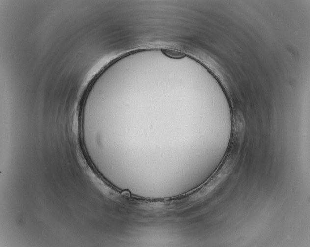 X0000112961054200909171254