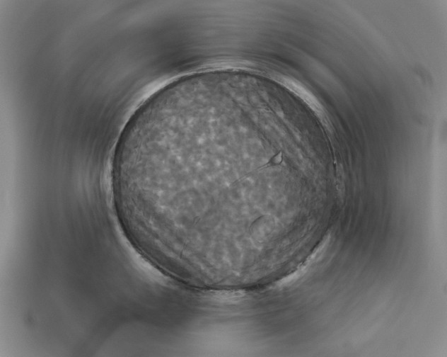 X0000112961055200909171254