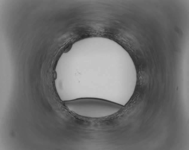 X0000112961057200909171253