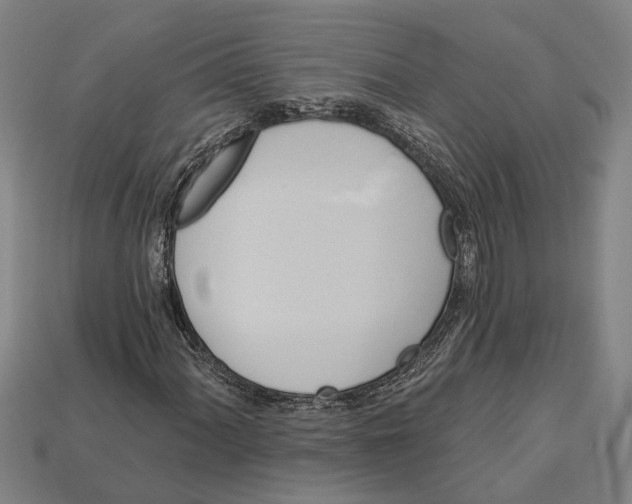 X0000112961060200909171253