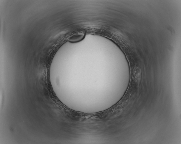 X0000112961061200909171253