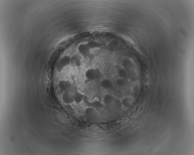 X0000112961063200909171253