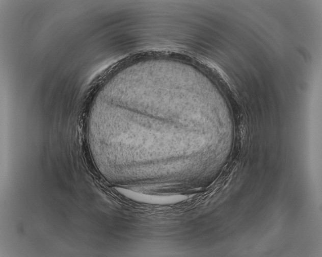 X0000112961064200909171253