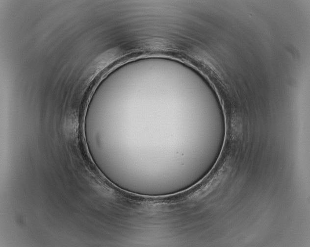 X0000112961065200909171253