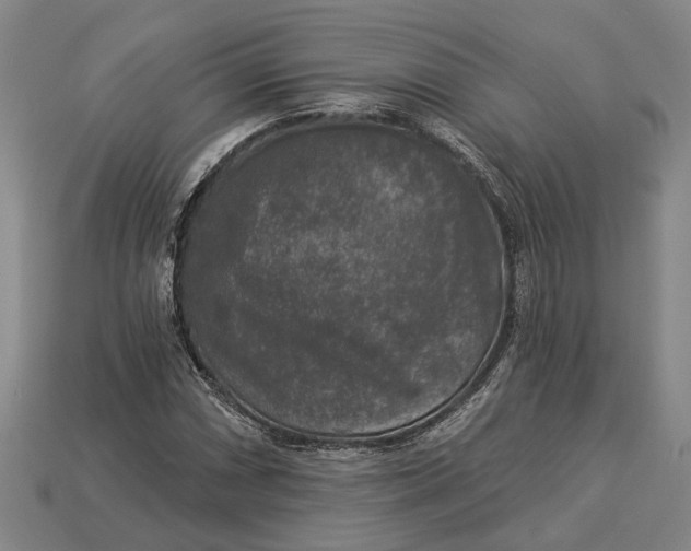 X0000112961066200909171253