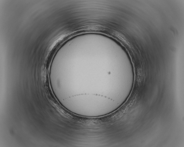 X0000112961067200909171253