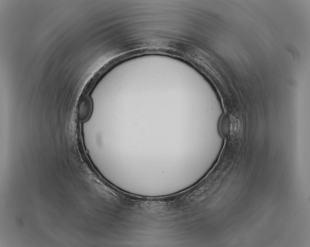 X0000112961068200909171253