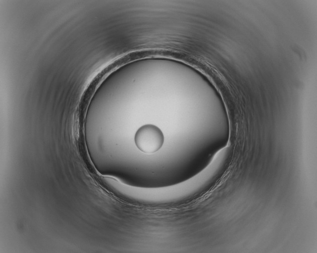 X0000112961069200909171253