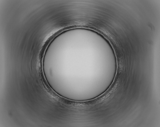 X0000112961070200909171253