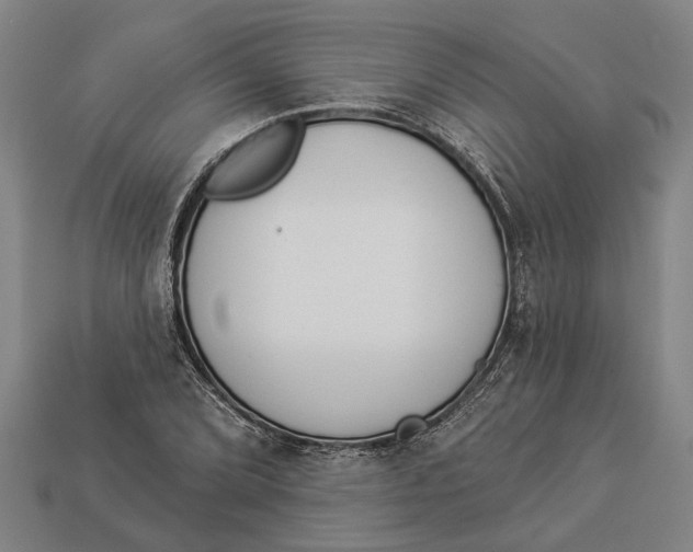 X0000112961072200909171253