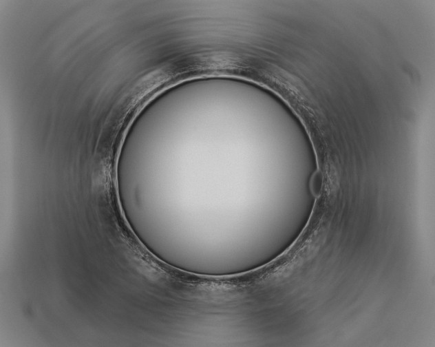 X0000112961073200909171253