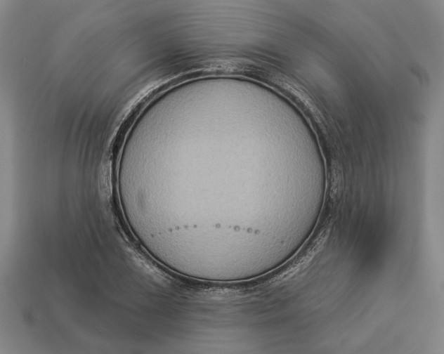 X0000112961075200909171253