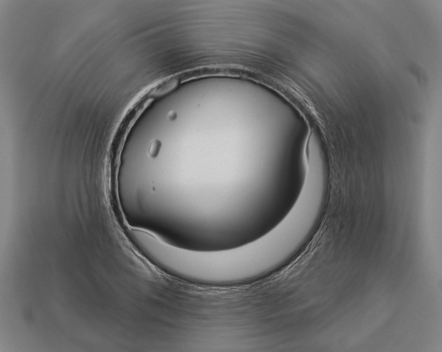 X0000112961076200909171253