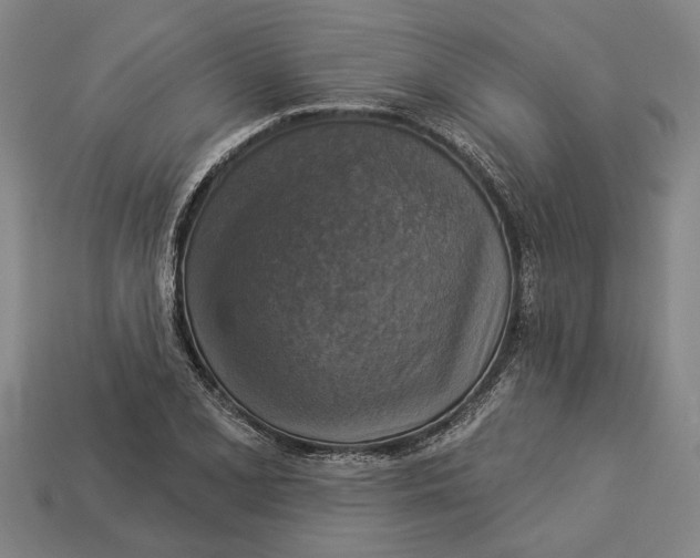 X0000112961077200909171253