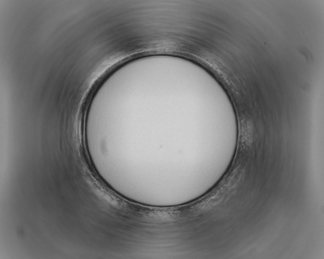 X0000112961078200909171253