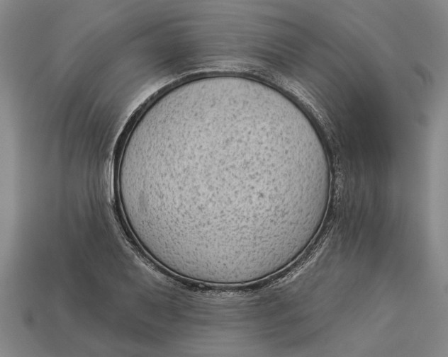 X0000112961079200909171253