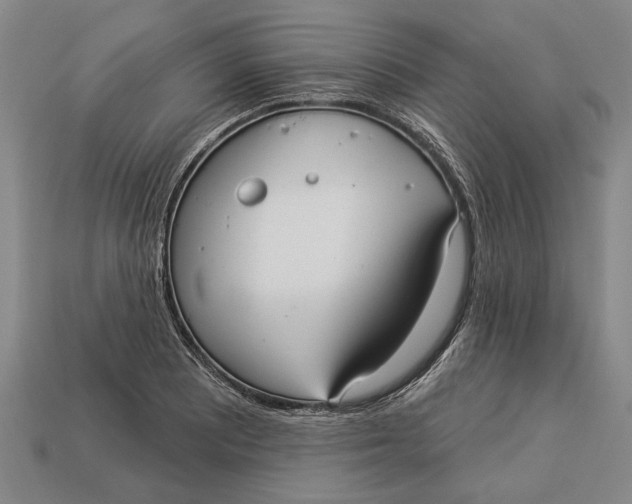 X0000112961081200909171253