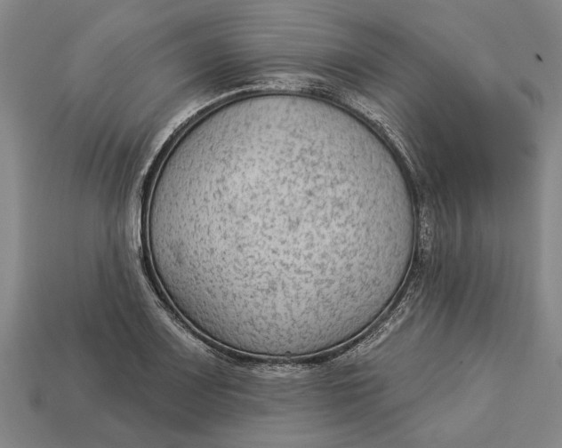 X0000112961083200909171253