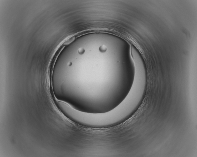 X0000112961084200909171253