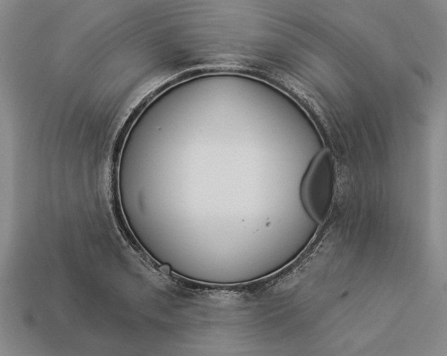 X0000112961085200909171253